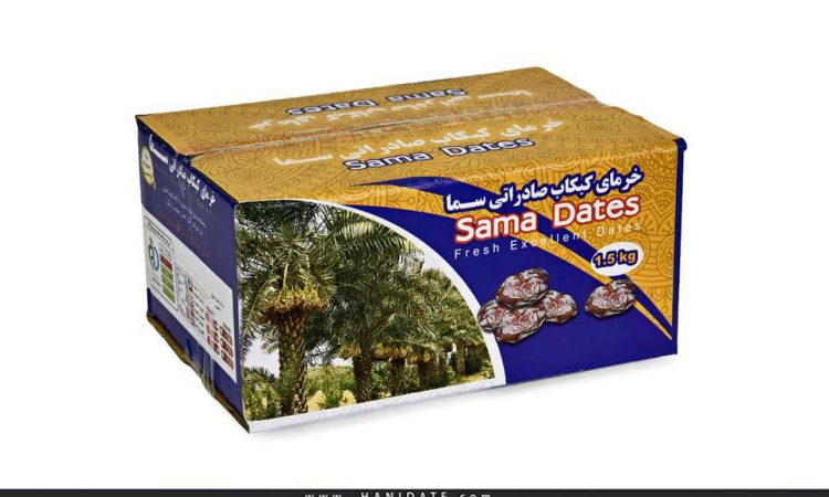 Hanidate-Kabkab-export-date-palm-sama-dates خرمای کبکاب صادراتی سما